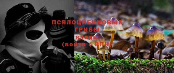 не бодяженный Алексин