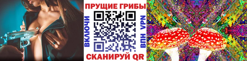 мориарти формула  Карачев  Галлюциногенные грибы мухоморы  купить  цена 